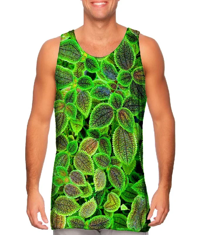 Women's Spaghetti Strap Tank Tops with Geometric PatternsPilea Involucrata The Friendship Plant Women's Spaghetti Strap Tank Tops with Geometric PatternsPilea Involucrata The Friendship Plant